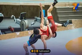 دعوت 11 فرنگی کار به اردوی تیم ملی