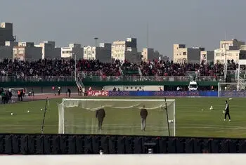 نزدیک شدن اوسمار به جایگاه هواداران استقلال